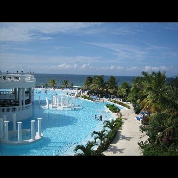 Meet your Posher, Tasha - Picture 1 of 1